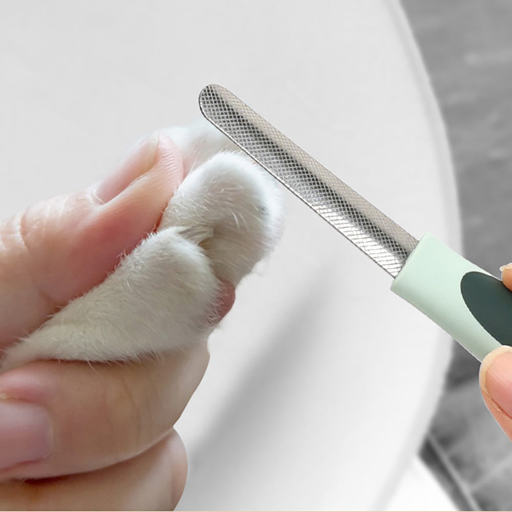Professional Dog Grooming Clippers - Cordless Low Noise Pet Hair Trimmer Kit