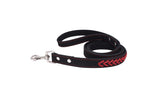 Stainless Steel Iron Dog Collar with Laser Lettering