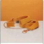 Multiple Colour Velvet Personalise Dog Collar Leash Set With Bow