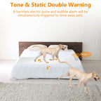 1Pc Electronic Pet Training Mat Indoor Safe Shock Training Pad For Dogs Cats Pet Barrier 60x12in With 3 Training Modes