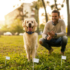 1Set Electric Dog Fence System Pet Tone Shock Boundary Containment Water Resistant Collar Receiver For Small Medium Large Dog
